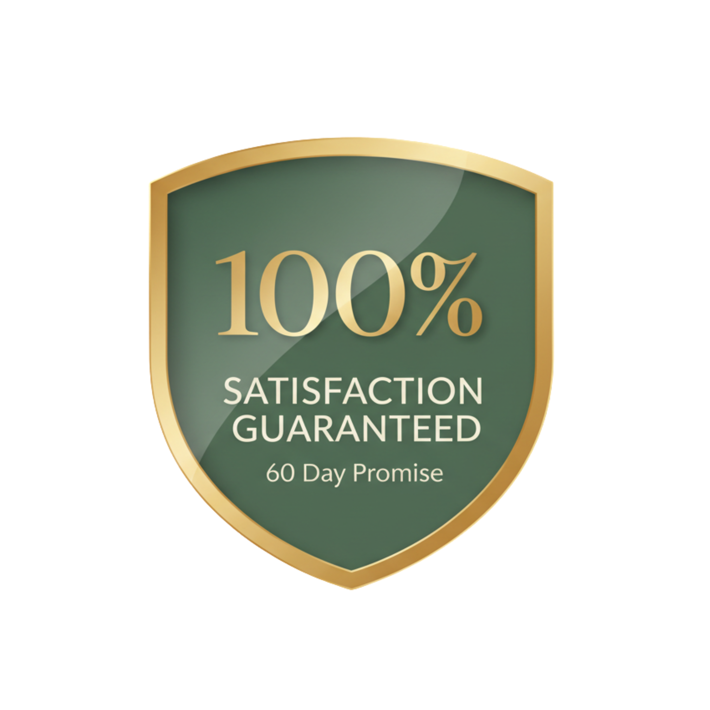 Shield-shaped logo with '100% Satisfaction Guaranteed' text on a white background