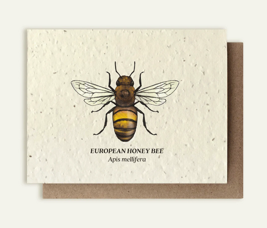 Card with a illustration of a European honey bee on a beige background
