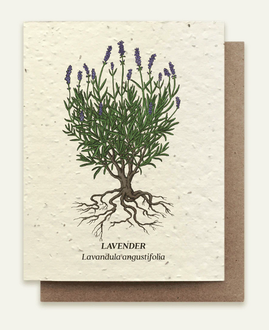 Card with lavender illustration and text on a white background