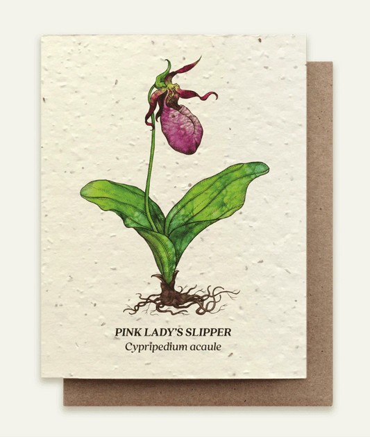 Greeting card with a pink lady's slipper orchid illustration on a beige background