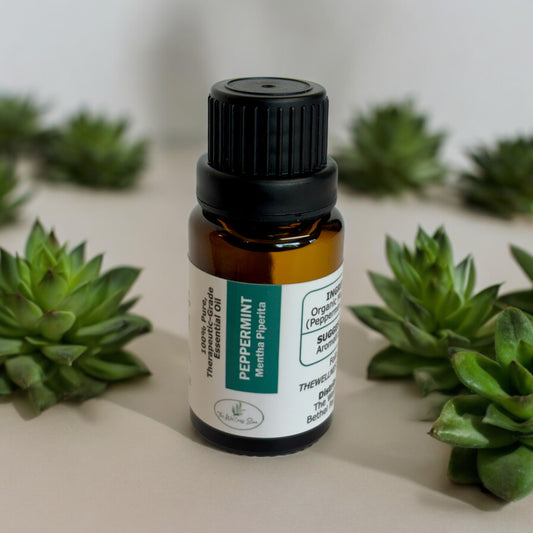 Peppermint essential oil with succulent flowers scattered around it