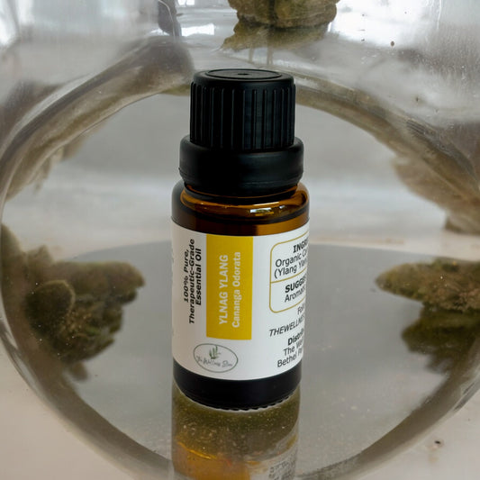 Ylang ylang essential oil on a water drop reflecting stones