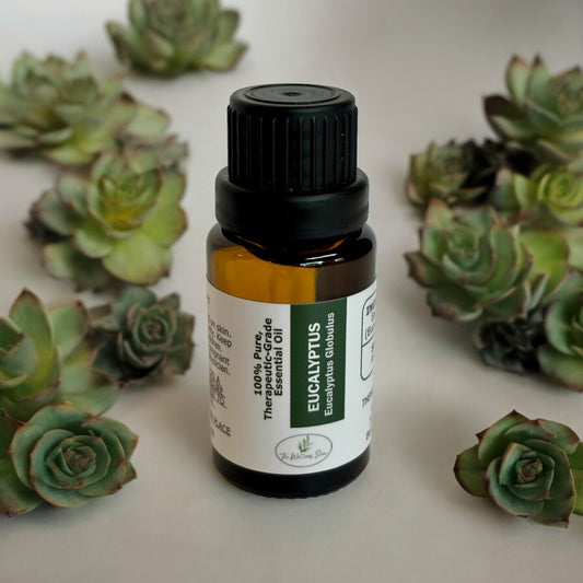 Eucalyptus Essential oil with succulent flowers scattered over a white table