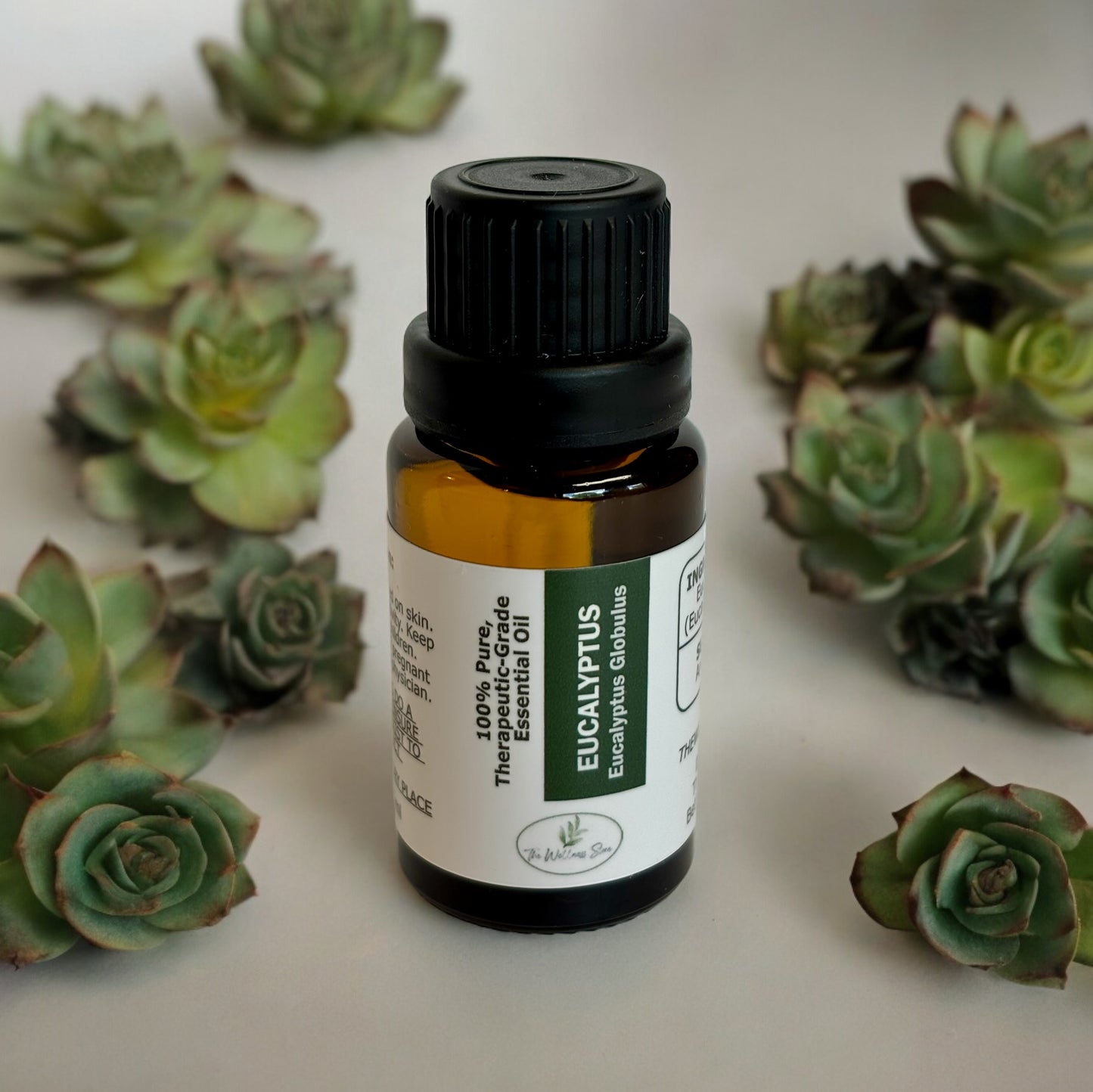 Pure eucalyptus globulus essential oil therapeutic grade with flowers for aromatherapy respiratory wellness